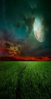 Baskılı Tekli Fon Perde Ay Işığı İle Gece Manzara Desenli - 4