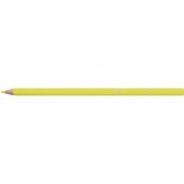 BİC TROPICOLOR2 BOYA KALEMİ 24 LÜ - 5