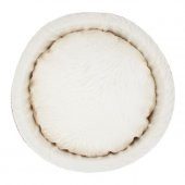 Lepus Mia Donut Yatak Kahve 50cm-17cm Yükseklik - 2