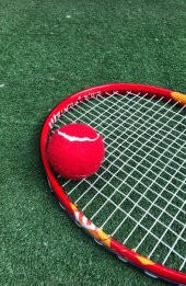 Werkon 1 Adet Antrenman Tenis Topu Kırmızı - 2