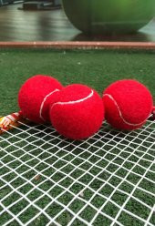 Werkon 3 Adet Antrenman Tenis Topu Kırmızı - 2