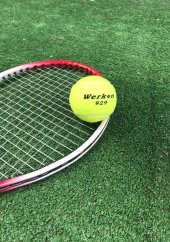 Werkon 1 Adet Antrenman Tenis Topu Sarı - 3