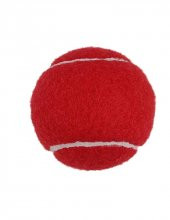 Werkon 1 Adet Antrenman Tenis Topu Kırmızı - 7