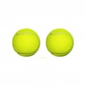 Leyaton 2 Adet Sarı Tenis Topu Antrenman Tenis Topu TPW-002 - 2