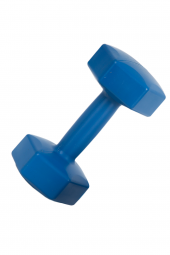 Leyaton Leyaton 4 Kg Plastik Dambıl 4 Kg ( 1 Adet ) - 1