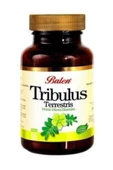 TRİBULUS TERRESTİS KAPSÜL 620 MG*60 - 1