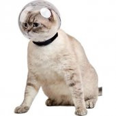 Lavimo Kedi Bakım Küresi - 4