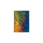 Özgün 17 x 24 Sert Kapak Defter 4 Renk Ayraçlı 192 Yp. Çizgili - 3 Adet - 3
