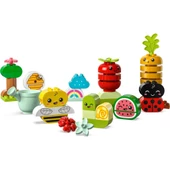 LEGO Duplo 10984 Organic Garden - 3