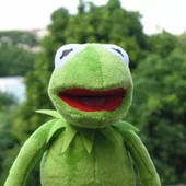 Susam Sokağı Yüksek Kalite Peluş Kurbağa Kermit - 4