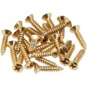 Fender Pickguard/Control Plate Mounting Screws 24 Gold Gitar Yedek Parça - 1