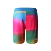 The North Face M STANDARD SHORT LIGHT-EU Erkek Şort NF0A3S4EIAX1 - 2