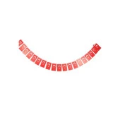 Eren İpli Bayrak Orta Boy 13 x 7.5 - 1