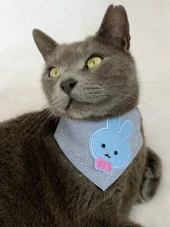 Blue Bunny Kedi Bandana, Fular, Kedi Kıyafeti Kedi Elbisesi, Kedi Tasması - 1