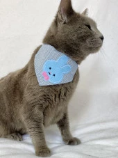 Blue Bunny Kedi Bandana, Fular, Kedi Kıyafeti Kedi Elbisesi, Kedi Tasması - 2