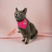 Cherry Kedi Bandana, Fular, Kedi Kıyafeti Kedi Elbisesi, Kedi Tasması - 2