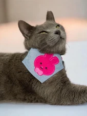 Pink Bunny Kedi Bandana, Fular, Kedi Kıyafeti Kedi Elbisesi, Kedi Tasması - 1