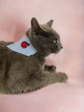 Uğur Böceği Kedi Bandana, Fular, Kedi Kıyafeti Kedi Elbisesi, Kedi Tasması - 3