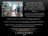 İtal S500 Çim Havalandırma Makinesi Loncin Motorlu İtmeli Model - 3