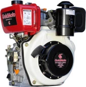 GoldMoto GM178FE-G7 Dizel Motor 7 Hp Marşlı Krank Mili Konik Kamalı thumbnail 1