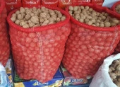 SOĞAN ÇUVALI (15 KİLOLUK) 1000 ADET 35*65 cm - 2