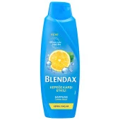 Blendax Kepeğe Karşı Etki 500 Ml 2915282 - 1