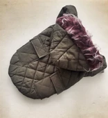 NEFTİ YEŞİL POOF CUTIE by Kemique - Köpek Montu - 2