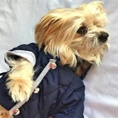 LACİVERT POOF CUTIE by Kemique  KÖPEK MONT KÖPEK PALTO - 11