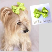 KÖPEK TOKASI  DINNER SERİSİ  KIRMIZI thumbnail 9