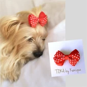 KÖPEK TOKASI  DINNER SERİSİ  LACİVERT thumbnail 7