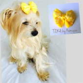 KÖPEK TOKASI  DINNER SERİSİ  KIRMIZI thumbnail 6