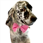 KEDİ VE KÖPEKLER İÇİN PAPYON  PEMBE thumbnail 1