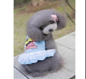 MAVİ ICE CREAM TÜTÜLÜ KÖPEK ELBİSESİ - 1