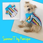 MAVİ GÖKKUŞAĞI Polo Yaka Tişört Summer T Köpek Kıyafeti,Elbisesi - 1