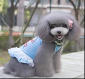 MAVİ ICE CREAM TÜTÜLÜ KÖPEK ELBİSESİ - 2