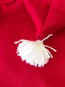 Santa Polar Yılbaşı Kıyafeti Orta ve Büyük Irk - 8