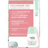 Garnier Roll-On Mineral Hyaluronik Bakım 50ml - 2