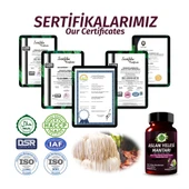 Aslan Yelesi Kapsül (LİON'S MANE MUSHROOMS CAPSULE) 60 Adet - 5