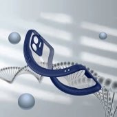 Xiaomi Redmi A1 Kılıf Kamera Korumalı Arkası Mat Platin Silikon Kılıf thumbnail 5