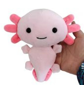 Kawaii Axolotl İthal Oyuncak Peluş 20 CM - 2