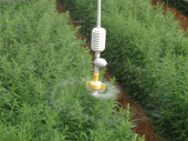 NETAFİM SPINNET™ BAŞLIK 120 L/H ( 10 ADET ) - 1