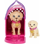 Barbie ve Köpekçikleri Oyun Seti HKD86 Lisanslı Ürün - 4