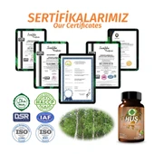 Huş Kapsül (BETULA PENDULA CAPSULE) 60 Adet thumbnail 4