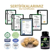 Maka Tri Kapsül (MACA TRİ CAPSULE) 60 Adet thumbnail 5