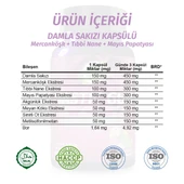 Mastic Gum Kapsül (Mastic Gum Capsule) 60 Adet - 3