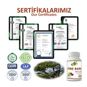 Sahil Çamı Kapsül (PİNE BARK CAPSULE) 60 Adet thumbnail 5