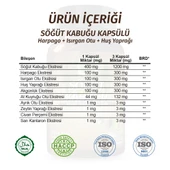 Söğüt Kapsül (WİLLOW CAPSULE) 60 Adet thumbnail 2
