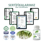 Sülforafan Brokoli Kapsül (SULFORAPHANE BROCCOLİ CAPSULE) 60 Adet - 5