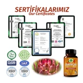 Zerdeçal Kapsül (TURMERİC CAPSULE) 60 Adet - 5