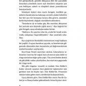 MARTIYA UÇMAYI ÖĞRETEN KEDİ - 3